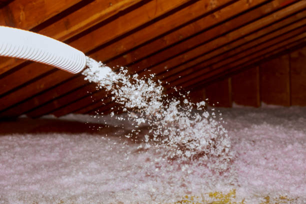 Best Energy Efficiency Insulation in Lapeer, MI