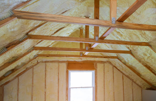 Best Residential Insulation in Lapeer, MI
