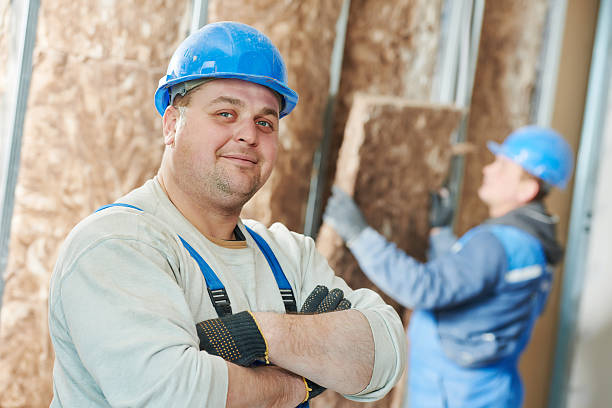 Best Eco-Friendly Insulation in Lapeer, MI